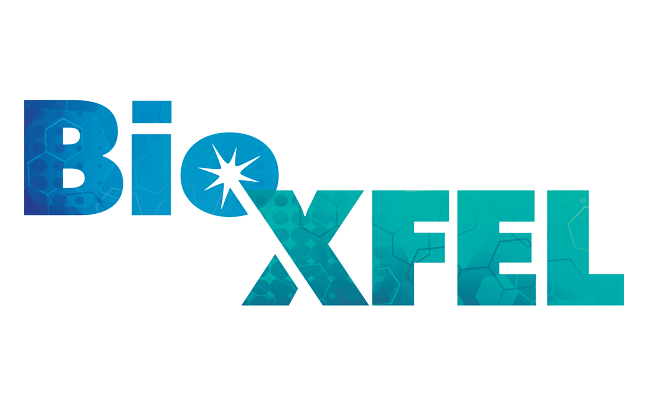 BioXFEL Logo